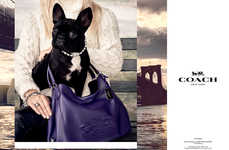 Celebrity Pet Campaigns