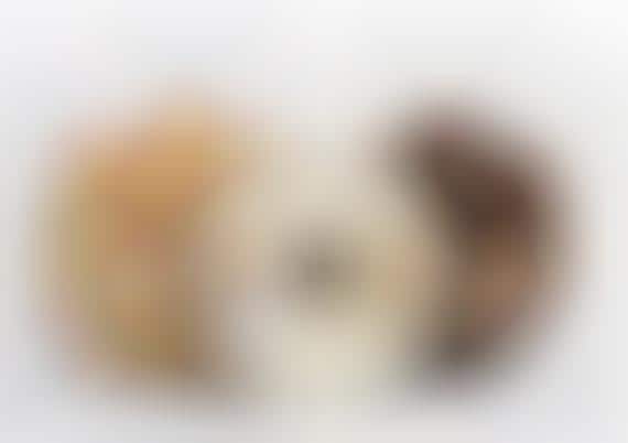 Donut Cat Toys