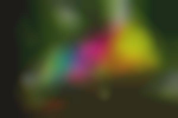 Translucent Rainbow Pavilions