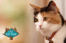 Branded Cat Camps