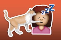 Feline-Themed Emojis Image 8