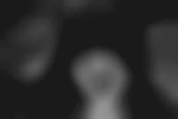 Geometric Shadow Portraits