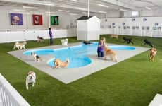 Pet-Friendly Airport Terminals