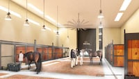 Pet-Friendly Airport Terminals Image 4