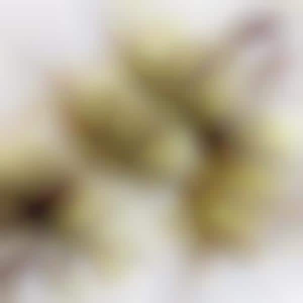 Raw Pistachio Desserts