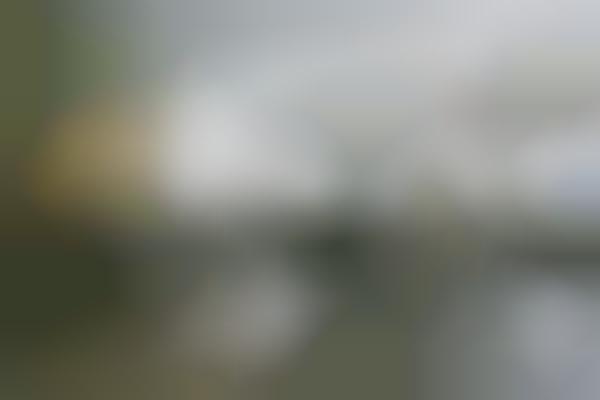 Exquisite Casual Trattorias