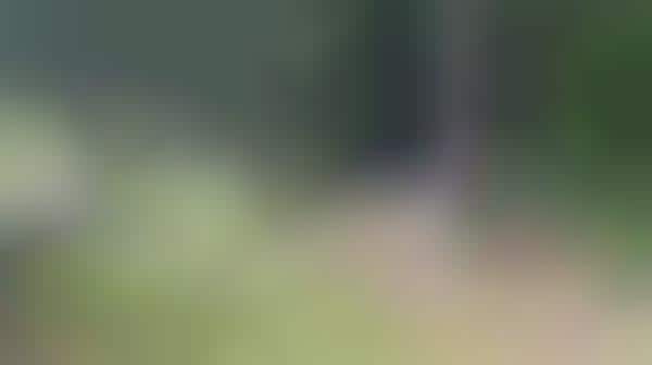 Handgun-Toting Drones
