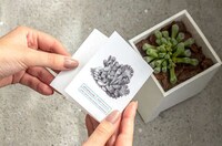 Sculptural Gardening Kits Image 7