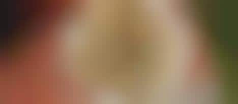 Cheesy Grilled Endives