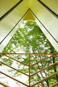 Bird-Shaped Tree Houses Image 3