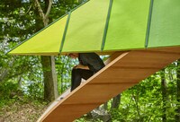 Bird-Shaped Tree Houses Image 6