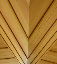 Bird-Shaped Tree Houses Image 7