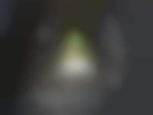 Bug-Dismissing Lanterns