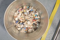 Whimsical Beach Trash Art Image 2