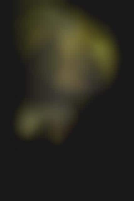Theatrical Shadow Shows