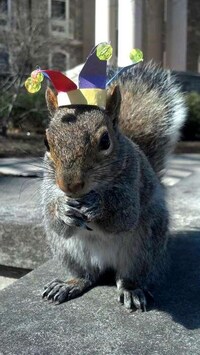 Whimsical Animal Costumes Image 4