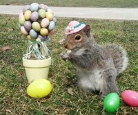 Whimsical Animal Costumes Image 5