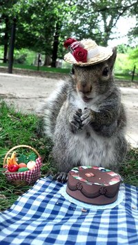 Whimsical Animal Costumes Image 8