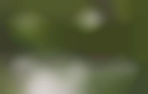 Sensory-Reactive Cameras