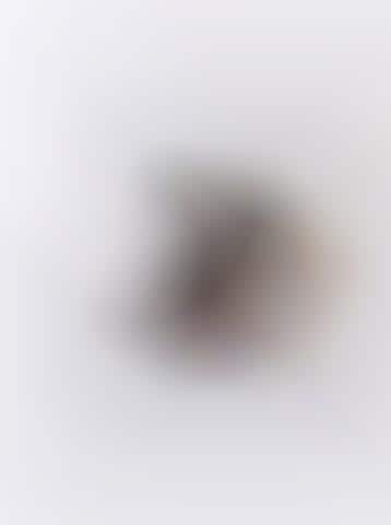 Edible Skin-Enhancing Dust