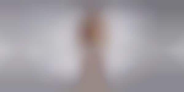 Evolutionary Swimsuit Videos