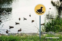 Adorable Animal Road Signs Image 2
