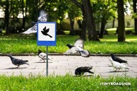 Adorable Animal Road Signs Image 3
