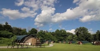 Eco Team-Building Retreats Image 3