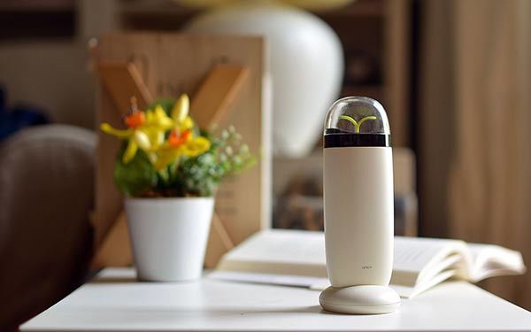 52 Innovative Air Purifiers