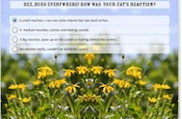 Pet Personality Quizzes Image 4
