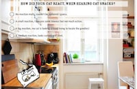 Pet Personality Quizzes Image 7