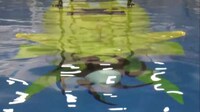 Autonomous Underwater Vehicles Image 7