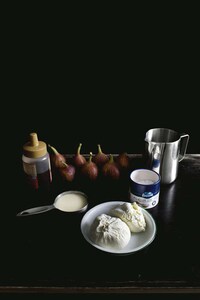 Fig Popsicle Recipes Image 5