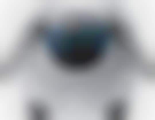 Talking Sheep Robots