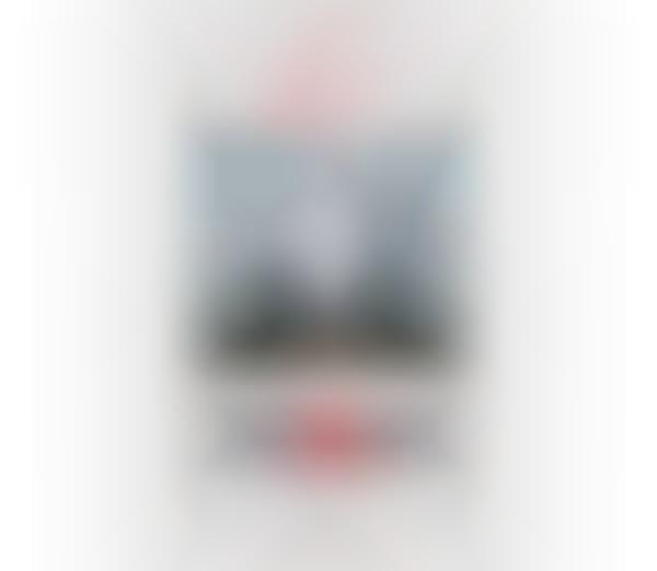 Style-Focused Image Filters