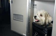 Luxury Pet Plane Cabins