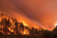 Wildfire Awareness Pictures Image 3