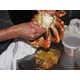 Fishy Butter Alternatives Image 8