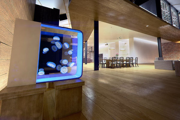 45 Modern Aquarium Designs