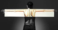 Superimposed Body Portraits Image 2