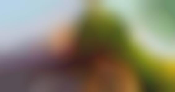 Clarity-Enhancing Image Apps