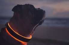 LED Smart Dog Collars