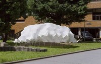Undulating Carbon Pavilions Image 3