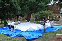 Undulating Carbon Pavilions Image 8