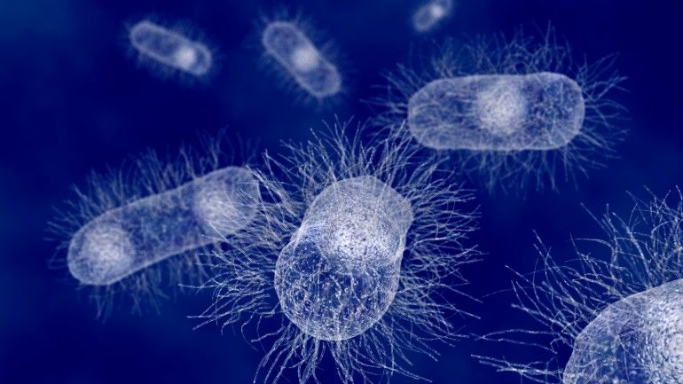 Bacteria-Killing Textiles