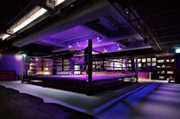 Monochromatic Boxing Centers Image 4