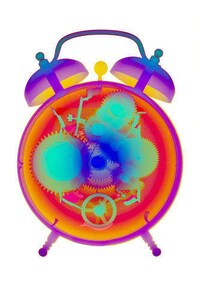Technicolor X-Ray Photography Image 3
