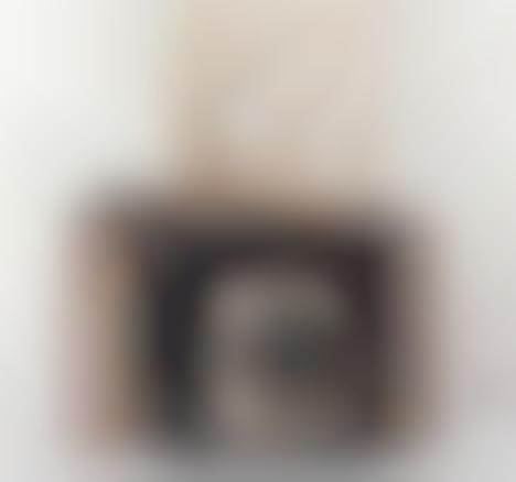 Sophisticated DIY Cameras