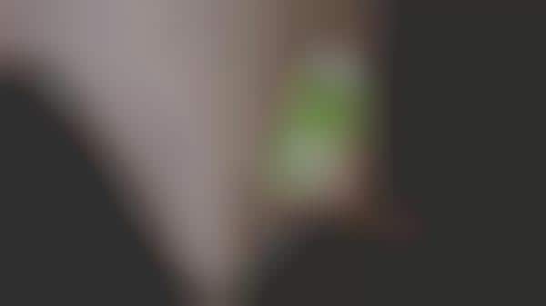 Keyless Check-In Systems