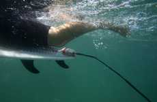 Surfer Safety Devices